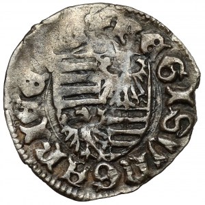 Węgry, Zygmunt (1387-1437) Denar
