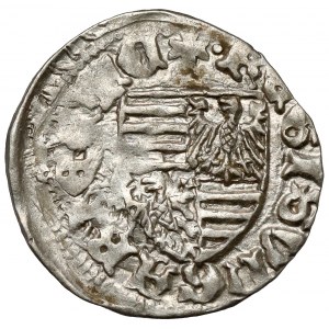 Uhorsko, Žigmund (1387-1437) Denár