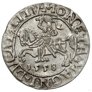 Sigismund II Augustus, Half-penny Vilnius 1558