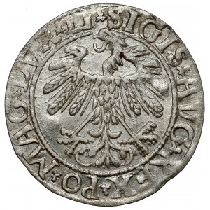 Zikmund II August, půlpenny Vilnius 1558