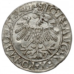 Sigismund II. Augustus, halber Pfennig Vilnius 1558