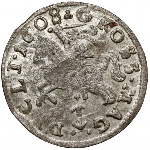 Sigismund III. Vasa, Vilnius Pfennig 1608