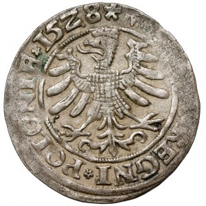 Sigismund I the Old, Cracow 1528 penny - a pearl in the tail