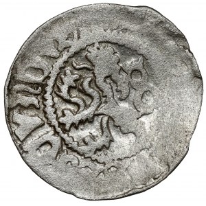 Bohemia, Ladislaus II Jagiellonian (1471-1516), Halerz unilateral