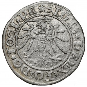 Zikmund I. Starý, penny Elbląg 1535