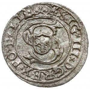 Zygmunt III Waza, Szeląg Ryga 1599