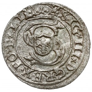 Zygmunt III Waza, Szeląg Ryga 1599