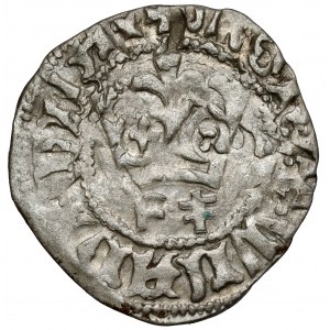 Ladislaus II Jagiello, Cracow half-penny - type 17 - F‡ marks.