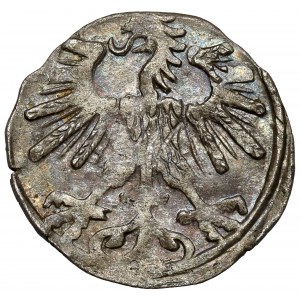 Sigismund II Augustus, Vilnius denarius 1560 - rare