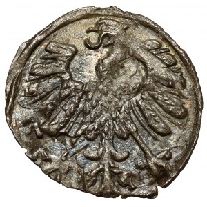 Sigismund II Augustus, Vilnius Denarius 1558