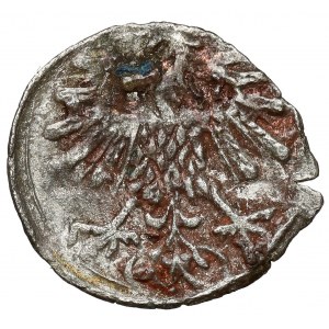 Sigismund II Augustus, Vilnius Denarius 1559