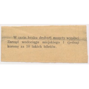 Krakow, Municipal Waterworks Board, 10 haleras 1918