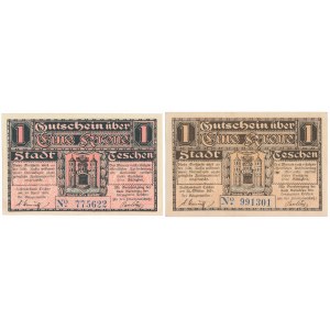 Cieszyn, 1 koruna 1919 - duben / říjen (2ks)