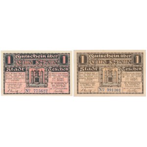 Cieszyn, 1 korona 1919 - kwiecień / październik (2szt)