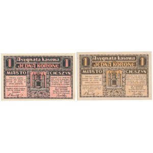 Cieszyn, 1 crown 1919 - April / October (2pcs)