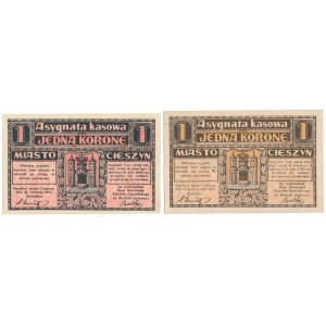Cieszyn, 1 Krone 1919 - April / Oktober (2 St.)