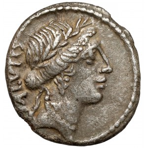 Roman Republic, Mn. Acilius Glabrio (49 BC) Denarius