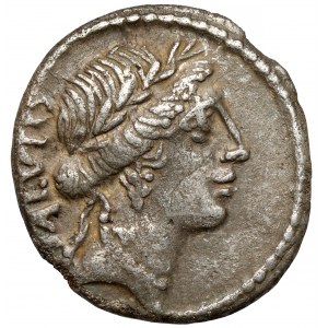 Republic, Mn. Acilius Glabrio (49 př. n. l.) Denár