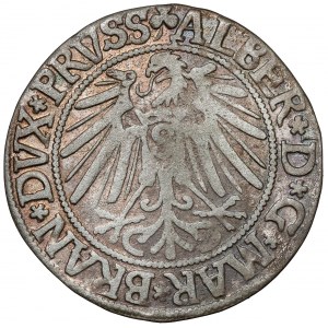 Prussia, Albrecht Hohenzollern, Grosz Königsberg 1543