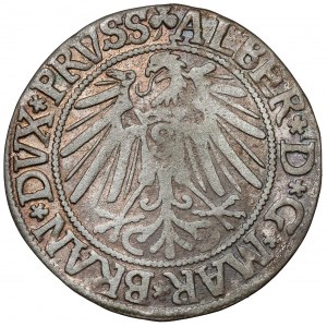 Prusko, Albrecht Hohenzollern, Grosz Königsberg 1543