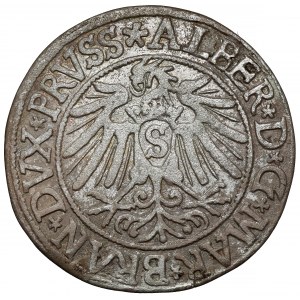 Prussia, Albrecht Hohenzollern, Grosz Königsberg 1538