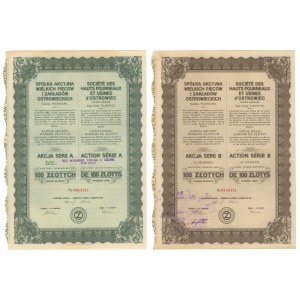 Spółka Akc. Wielkich Pieców i Zakładów Ostrowieckich, 100 zloty - registered and bearer (2pcs)