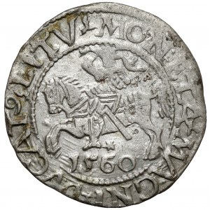 Sigismund II Augustus, halber Pfennig Vilnius 1560 - Ziffernrabatt