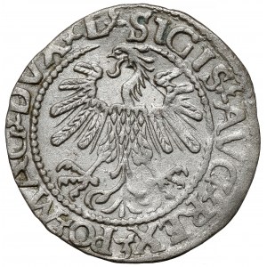 Zygmunt II August, Półgrosz Wilno 1560 - przebitka cyfry