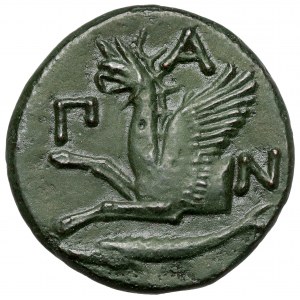 Greece, Thrace / Chersonesus, Pantikapaion, AE21 (345-310 BC)