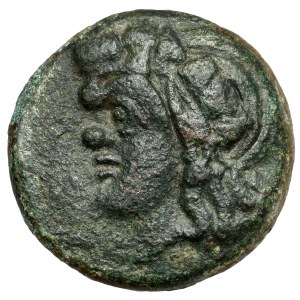 Grecja, Tracja / Chersonez, Pantikapajon, AE19 (310-303 p.n.e.)