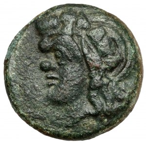 Grecja, Tracja / Chersonez, Pantikapajon, AE19 (310-303 p.n.e.)