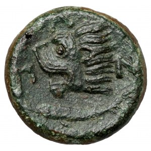 Řecko, Thrákie / Chersonés, Pantikapaion, AE19 (310-303 př. n. l.).