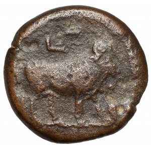 Domitian (81-96 n. Chr.) AE24, Alexandria
