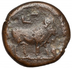 Domicjan (81-96 n.e.) AE24, Aleksandria