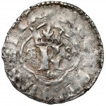 Casimir III the Great, Ruthenian Quarterly, Lviv - MONTA error