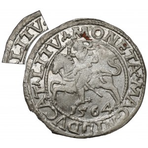 Sigismund II Augustus, halber Pfennig Vilnius 1564 - sehr selten