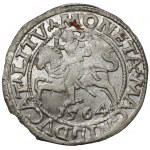 Sigismund II Augustus, halber Pfennig Vilnius 1564 - sehr selten