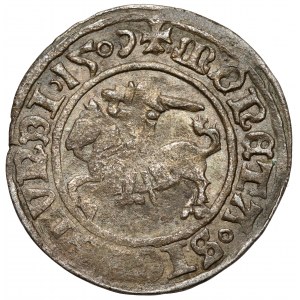 Sigismund I. der Alte, Halber Pfennig Vilnius 1509