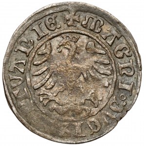 Sigismund I. der Alte, Halber Pfennig Vilnius 1509