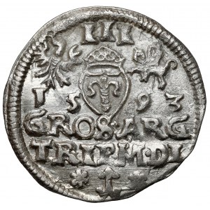 Žigmund III Vasa, Trojka Vilnius 1593 - Platina