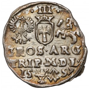Sigismund III. Vasa, Troika Vilnius 1597 - Lidman