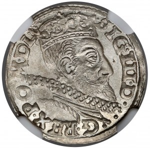 Zikmund III Vasa, Trojak Poznaň 1601 - písmeno P
