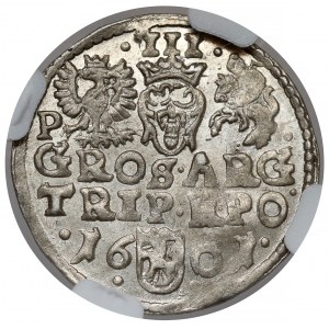 Sigismund III Vasa, Trojak Poznań 1601 - letter P