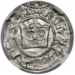 Ladislaus II Jagiello, Half-penny Cracow - type 7 - without sign