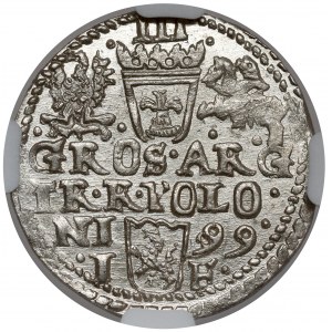 Sigismund III Vasa, Trojak Olkusz 1599 - specimen