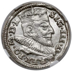 Zikmund III Vasa, Trojka Vilnius 1592