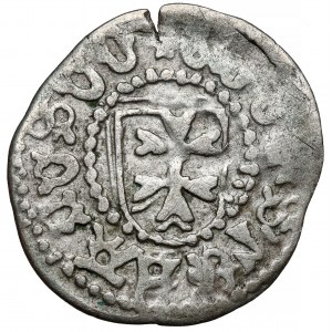 Moldavian Hospodardom, Stefan III (1457-1504), Suceava penny - double cross