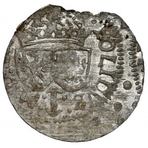 Sigismund III Vasa, Vilnius 1615 Shelter.