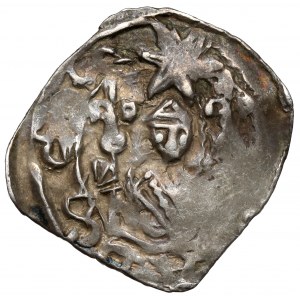 Pettau, Eberhard II. (1200-1246), Fenig