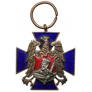 Odznaka, Narodowy Związek Powstańców i Byłych Żołnierzy